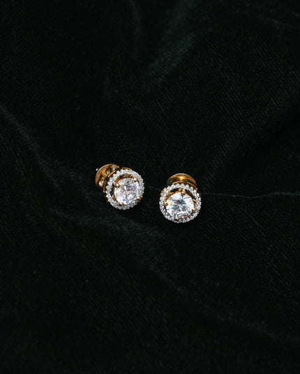 Earrings 113234
