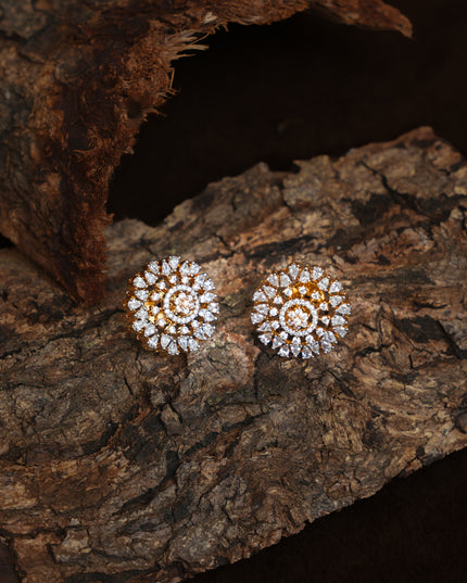 Earrings 113235