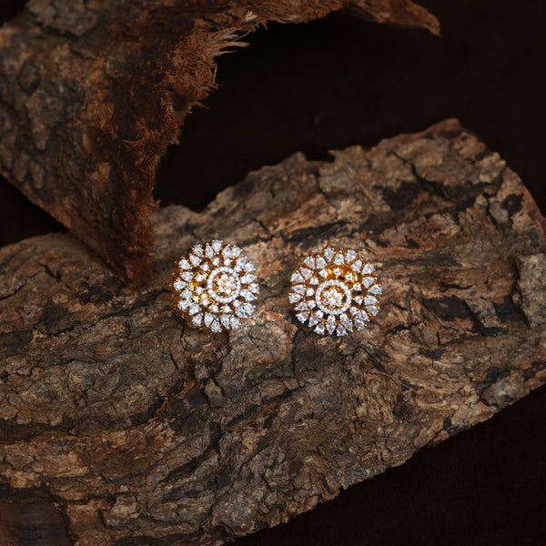 Earrings 113235