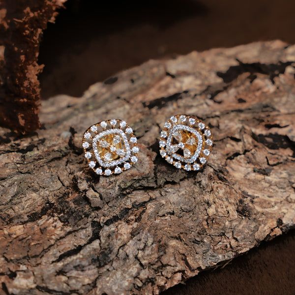 Earrings  113237