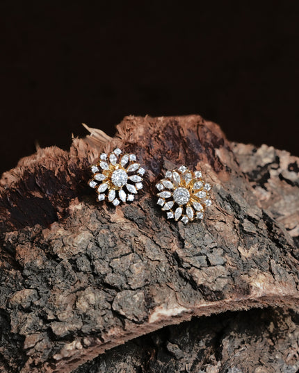 Earrings 113238