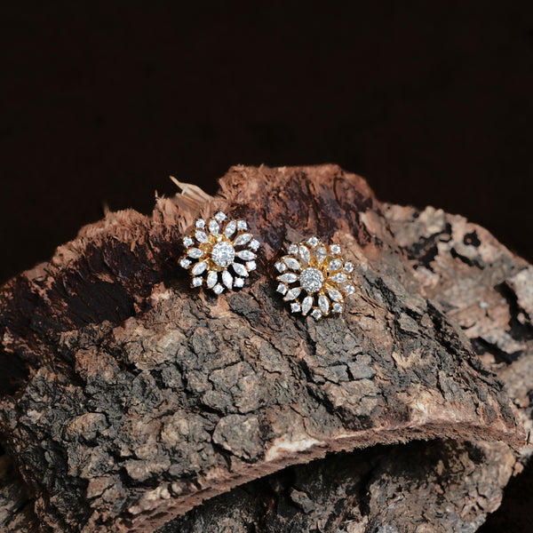 Earrings 113238