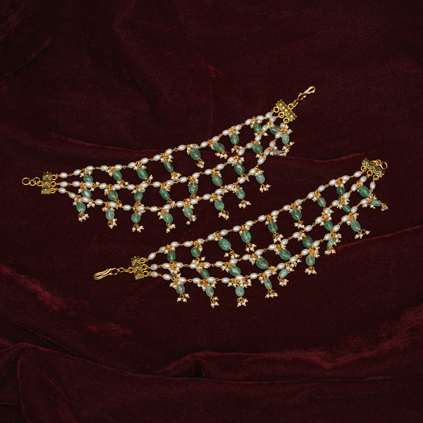 Champaswarlu 113360