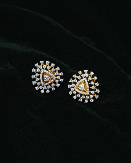 Earrings 113401