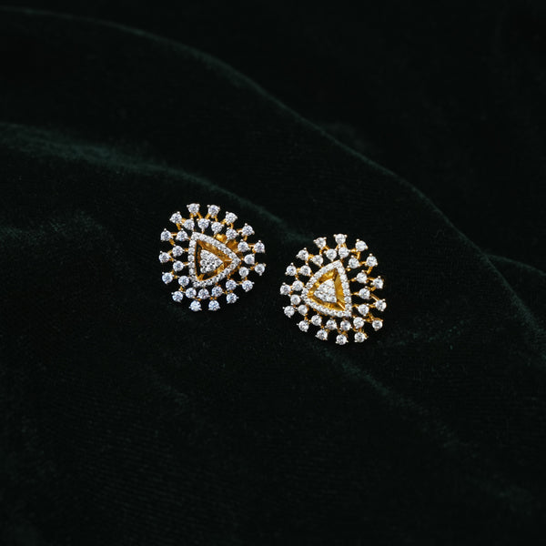 Earrings 113401