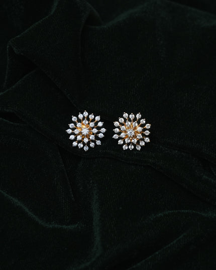 Earrings 113406
