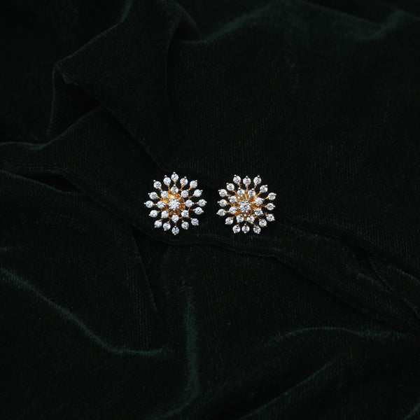 Earrings 113406
