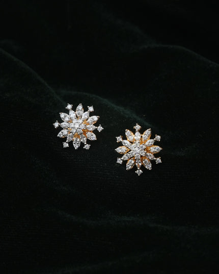 Earrings 113407