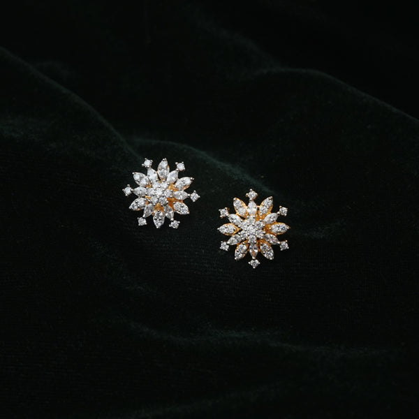 Earrings 113407