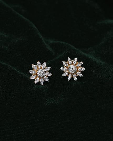 Earrings  113409