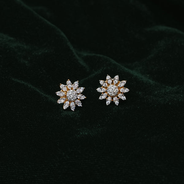 Earrings  113409