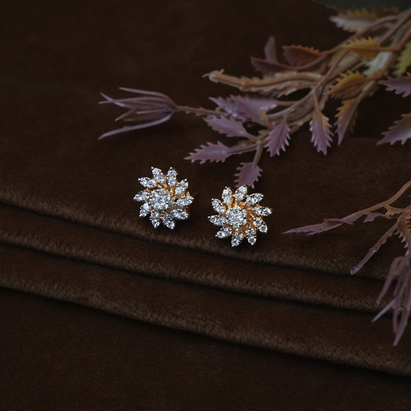 Earrings 113410