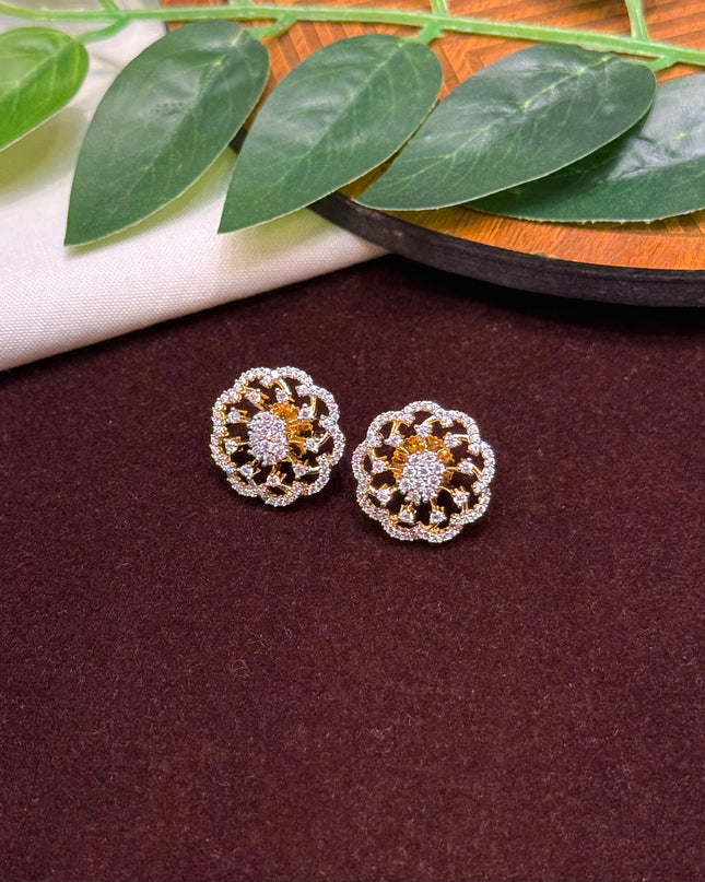 Earrings 107058