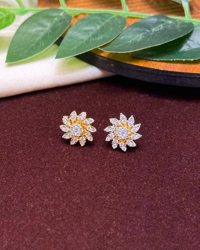 Earrings 107059