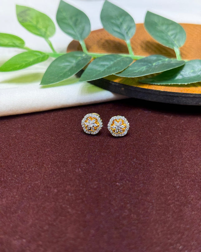 Earrings 107060