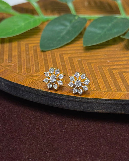Earrings 107061