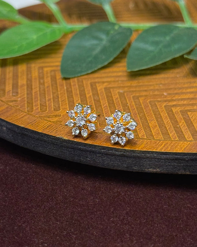 Earrings 107061