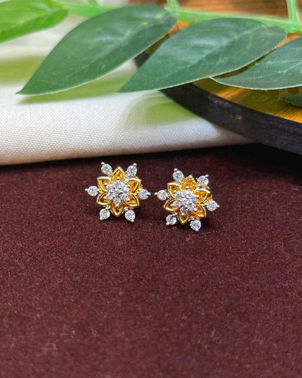 Earrings 107061