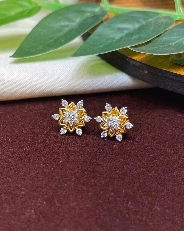 Earrings 107061