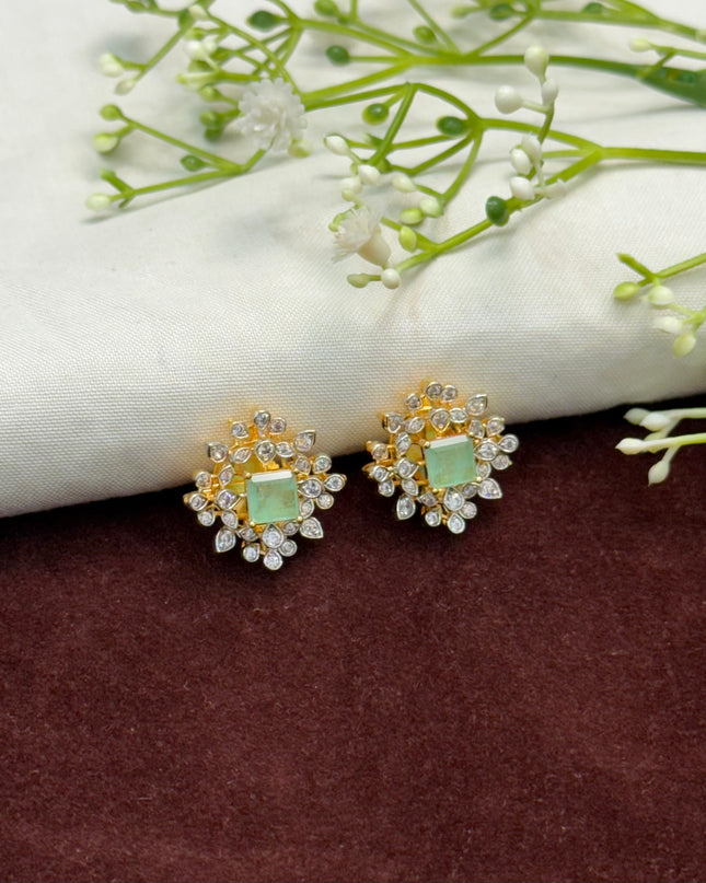 Earrings 107854