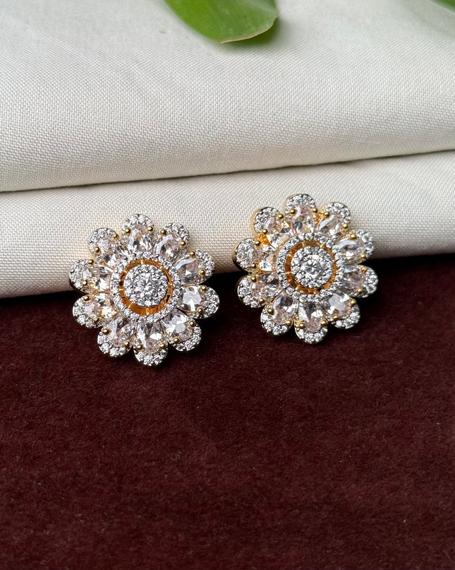 Earrings 109050