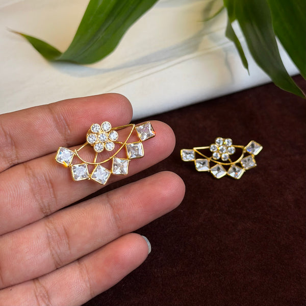 Earrings 109888