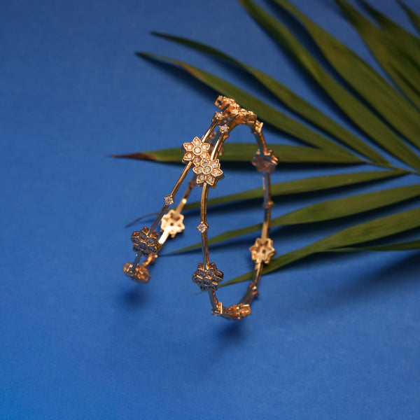 Antique Bangles 111232