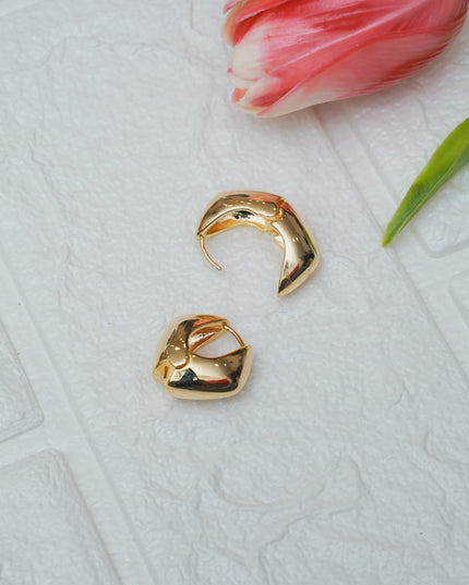 Ear rings 112208