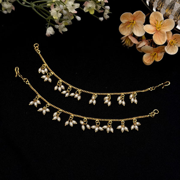 Champaswaralu 110460